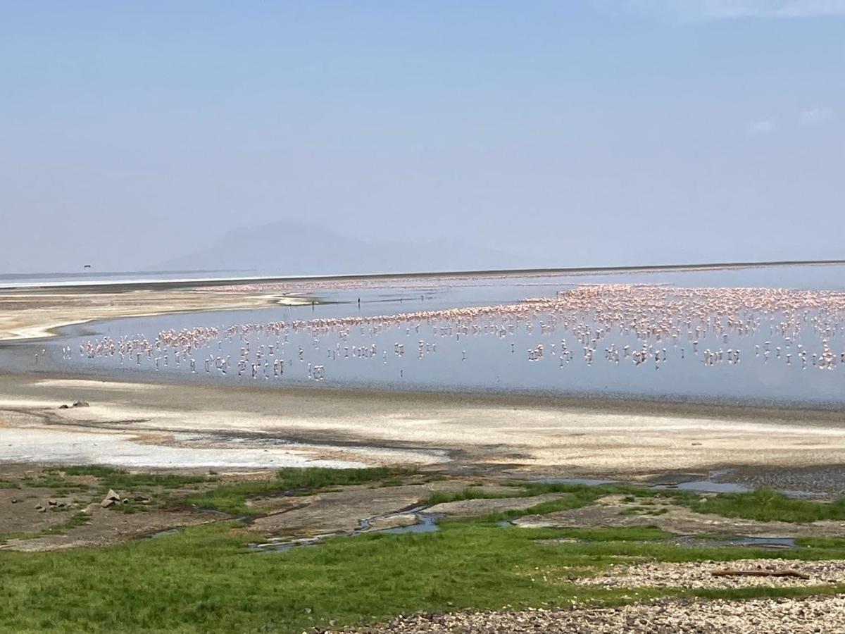 Lake Natron Maasai Guesthouse Mtowabaga Kültér fotó