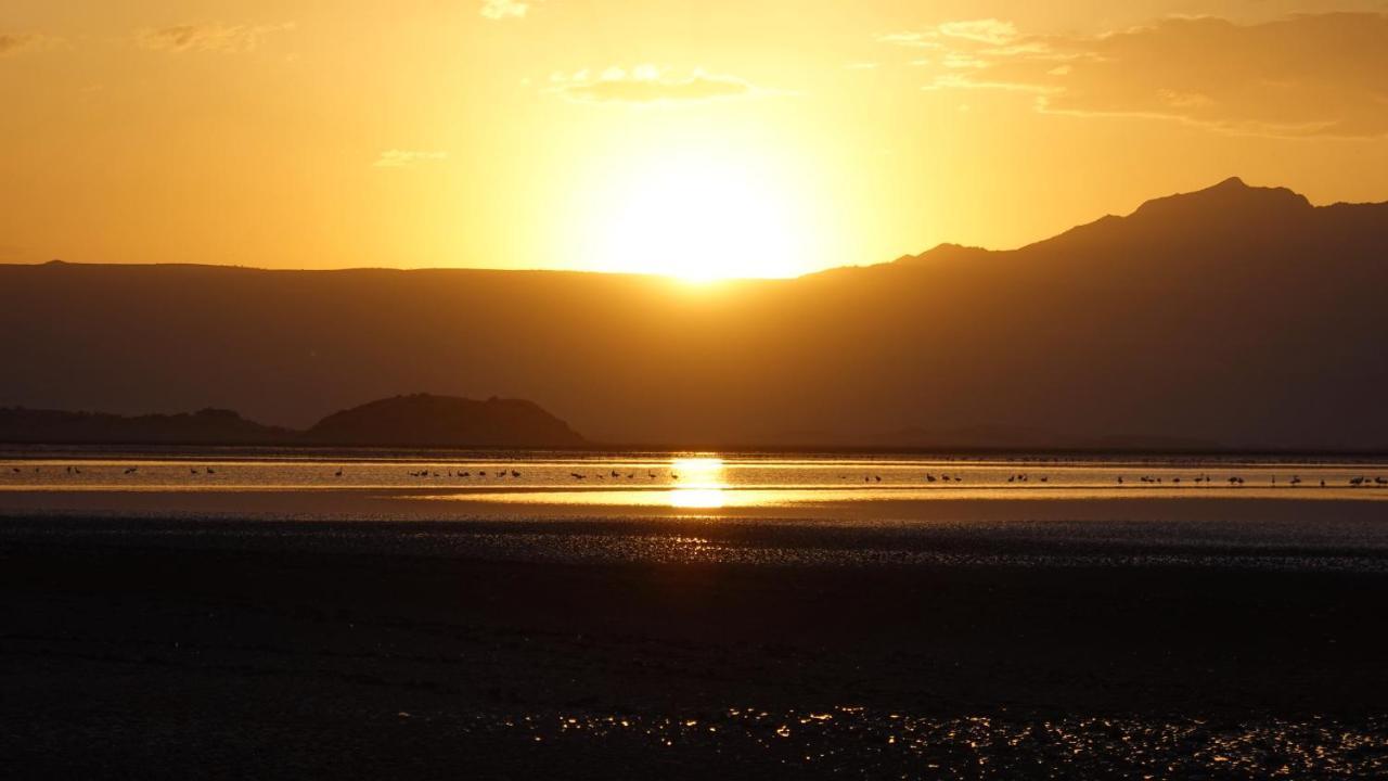 Lake Natron Maasai Guesthouse Mtowabaga Kültér fotó
